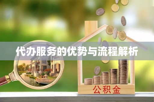 利辛代办服务的优势与流程解析