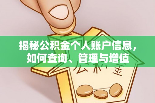 利辛揭秘公积金个人账户信息，如何查询、管理与增值