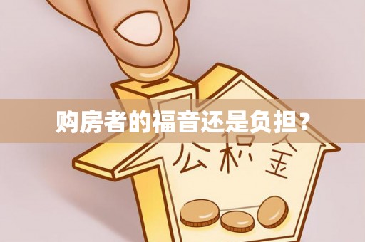 利辛购房者的福音还是负担？