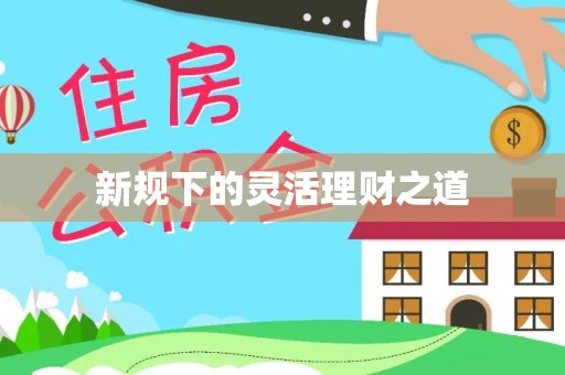 利辛新规下的灵活理财之道