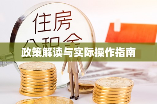 利辛政策解读与实际操作指南