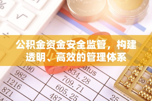 利辛公积金资金安全监管，构建透明、高效的管理体系