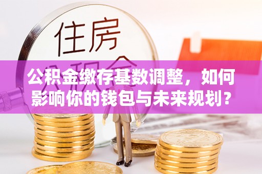 利辛公积金缴存基数调整，如何影响你的钱包与未来规划？