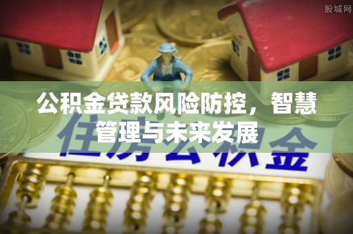 利辛公积金贷款风险防控，智慧管理与未来发展