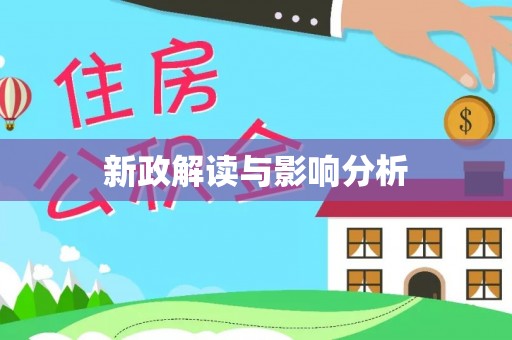 利辛新政解读与影响分析