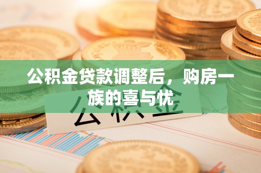 利辛公积金贷款调整后，购房一族的喜与忧