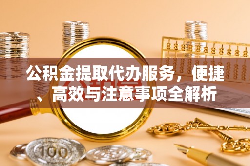 利辛公积金提取代办服务，便捷、高效与注意事项全解析