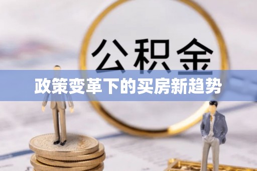 利辛政策变革下的买房新趋势