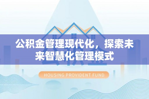 利辛公积金管理现代化，探索未来智慧化管理模式