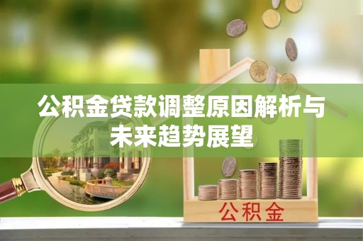 利辛公积金贷款调整原因解析与未来趋势展望
