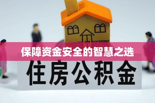 利辛保障资金安全的智慧之选