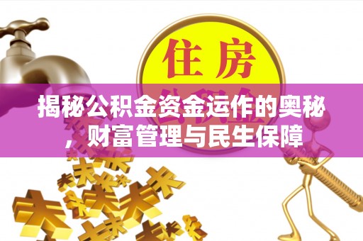 利辛揭秘公积金资金运作的奥秘，财富管理与民生保障