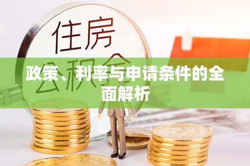 利辛政策、利率与申请条件的全面解析