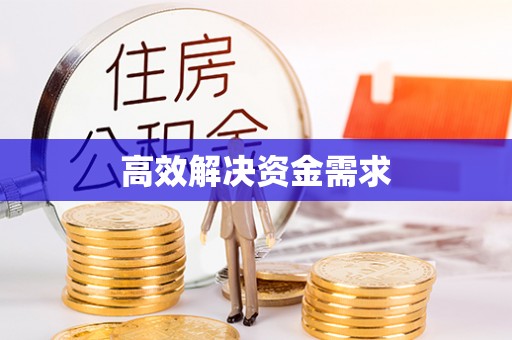 利辛高效解决资金需求