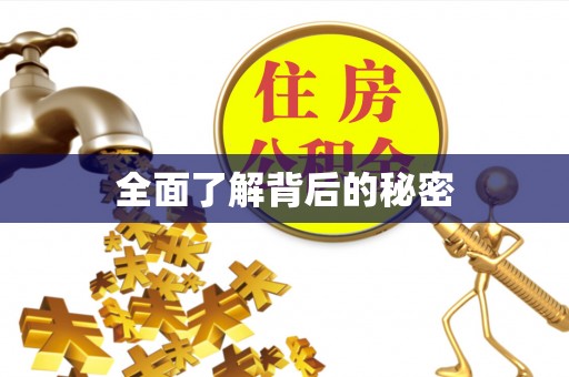 利辛全面了解背后的秘密