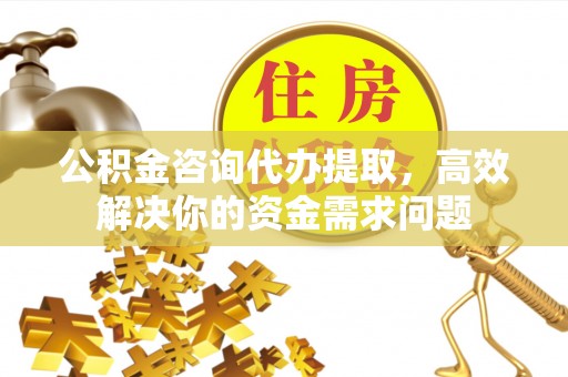 利辛公积金咨询代办提取，高效解决你的资金需求问题