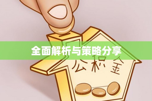 利辛全面解析与策略分享
