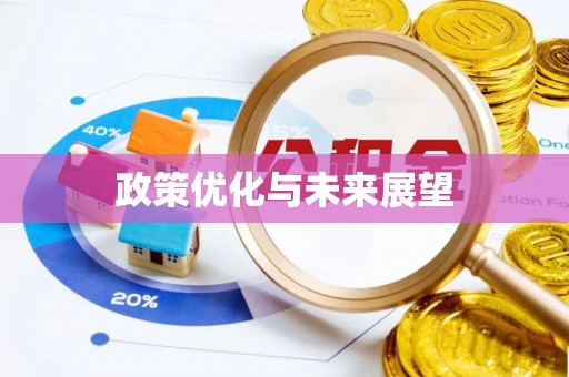 利辛政策优化与未来展望