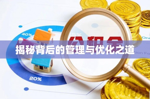 利辛揭秘背后的管理与优化之道