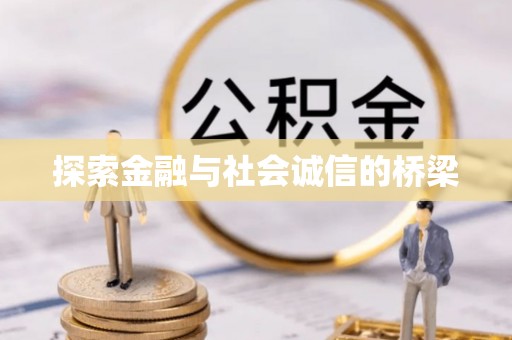 利辛探索金融与社会诚信的桥梁