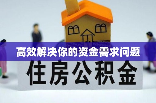 利辛高效解决你的资金需求问题