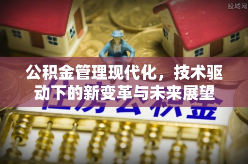 利辛公积金管理现代化，技术驱动下的新变革与未来展望