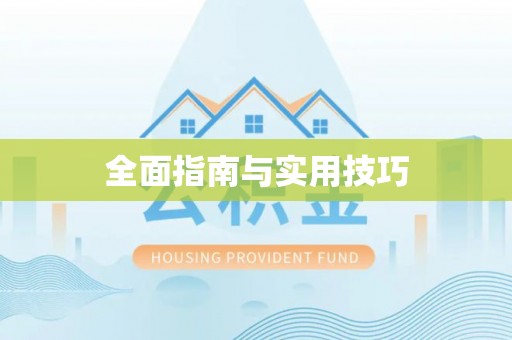 利辛全面指南与实用技巧