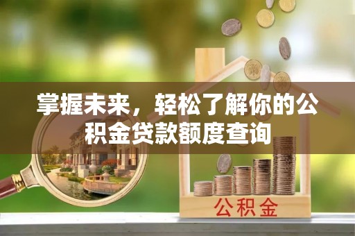 利辛掌握未来，轻松了解你的公积金贷款额度查询