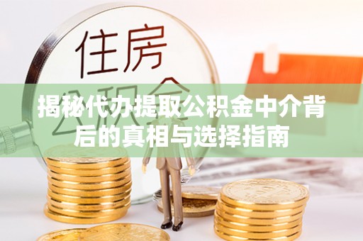 利辛揭秘代办提取公积金中介背后的真相与选择指南