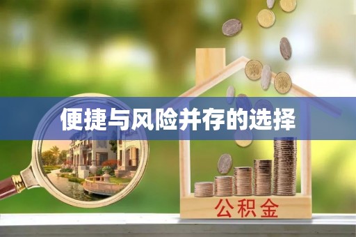利辛便捷与风险并存的选择