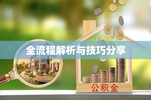 利辛全流程解析与技巧分享