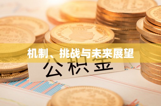利辛机制、挑战与未来展望