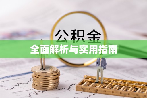 利辛全面解析与实用指南