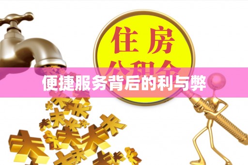 利辛便捷服务背后的利与弊