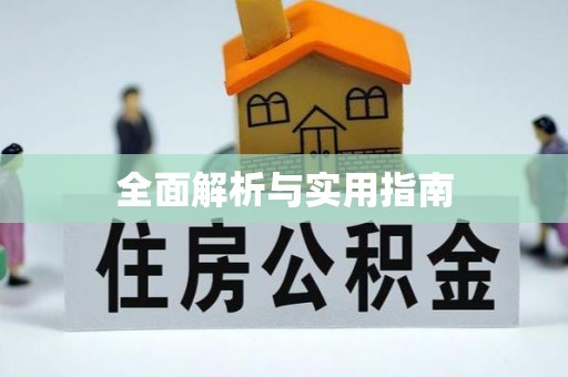 利辛全面解析与实用指南