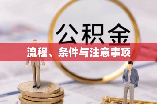 利辛流程、条件与注意事项
